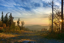 Morning Rays / ***