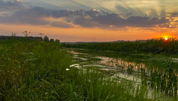 Evening on the river / ***