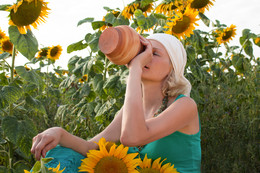 Summer flowers / ***