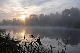 Morning on the lake. / ***