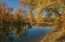 Autumn colors / ***