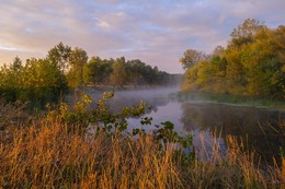 Autumn landscape / ***