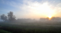misty dawn / ***