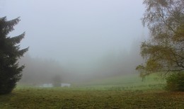 Foggy morning / ***