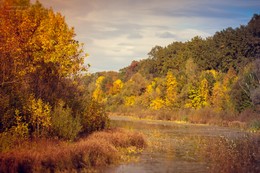 colors of autumn / ***