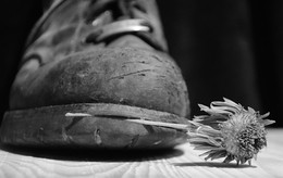 Return / ***