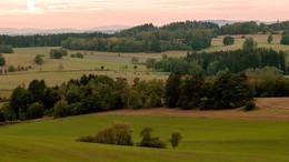 Pasture / -----
