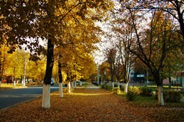 Autumn in the city / ***