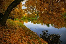 Autumn Park / ----