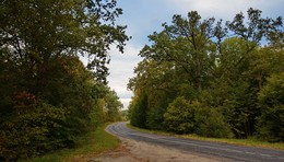 Forest Road / ***