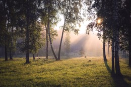 Summer morning. / ***