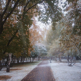 First snow / ***