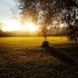 Autumn evening / ***