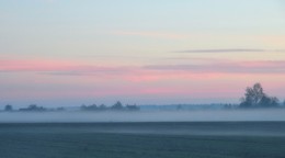 Pink morning / ***
