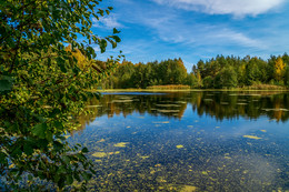Autumn on the forest lake / ***