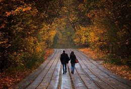 Road to autumn ... / ***