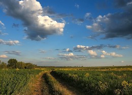 On the road with clouds ... / ***