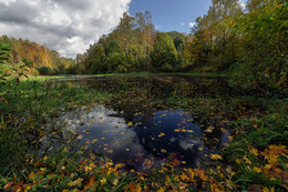 Autumn / ***