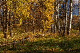 Autumn / ***