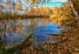 Window in the Fall / ***