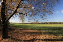 Autumn wind / ***