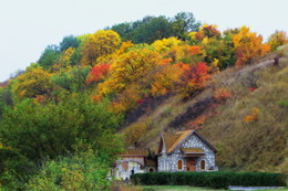 Autumn coloring / ***