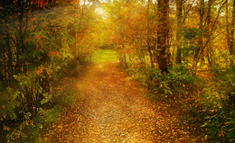 Autumn coloring / ***