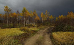 Autumn coloring / ***