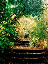 Autumn coloring / ***