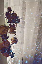 Autumn coloring / ***