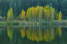 Autumn coloring / ***