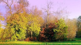 Autumn coloring / ***