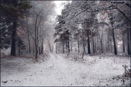 Autumn coloring / ***