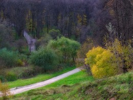 Autumn in Tsaritsyno / ***