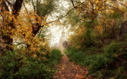 Autumn / ***