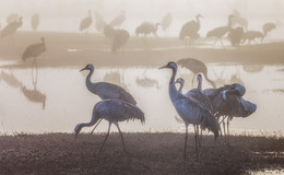 And on the other side ... / ***