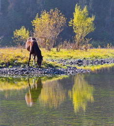 At the river. / ***