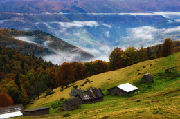 Carpathians / ***