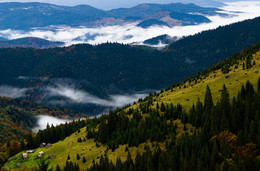 Carpathians / ***