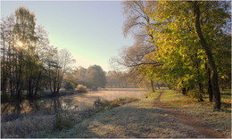 autumn morning / ***