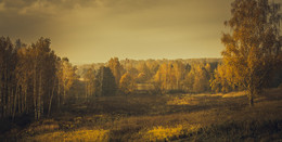 Autumn morning. / ***