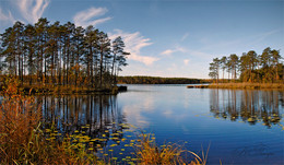 Sunny autumn / ***