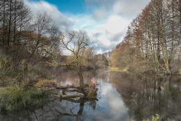 Reflection of autumn / ***