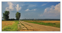 suburban landscape / ***