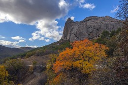 Crimean Autumn / ***