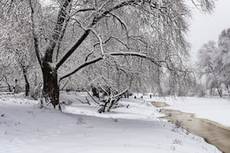 Winter landscape / ***