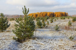 First snow / ***