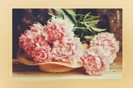 Peonies / ...