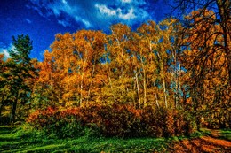 Autumn time... / ***