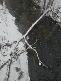 The new bridge / ***